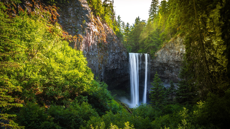 Discover This Secluded Oregon Waterfall: An Easy, Crowd-Free Hike Near the Columbia Gorge