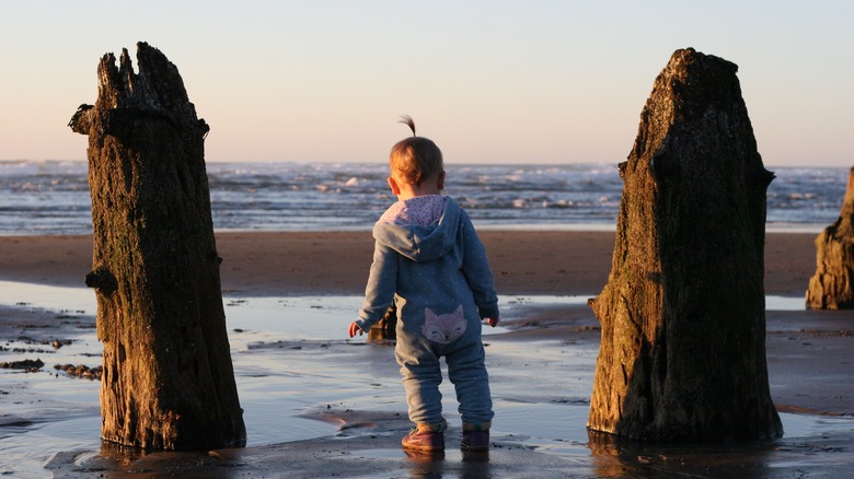 An Overlooked 'Ghost Forest' on Oregon's Tillamook Coast Offers a Serene, Eerie Retreat