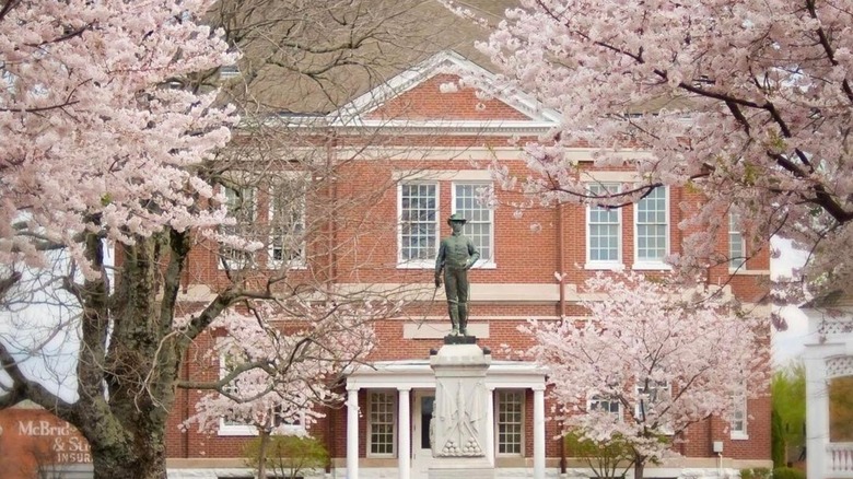 Explore a Charming Tennessee City Near Memphis: A Perfect Day Trip with a Vibrant Historic Downtown