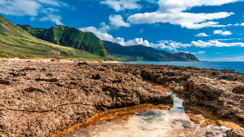 Discover a Hidden Paradise: Explore the Captivating Coastal Trails and Views of an Underrated Hawaiian State Park