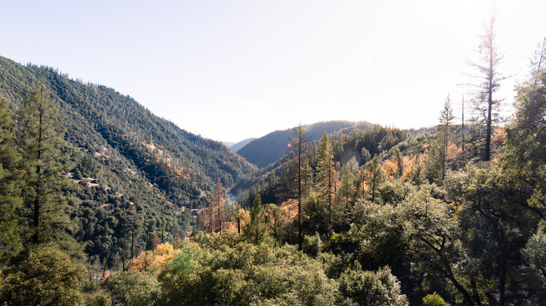 A Quirky Gold Rush Town in California's Sierra Foothills Overflowing with Old-Time Charm Near Lakes and Trails
