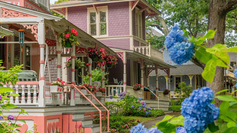 Nestled Along Martha's Vineyard: A New England Resort Town with Vibrant Cottages