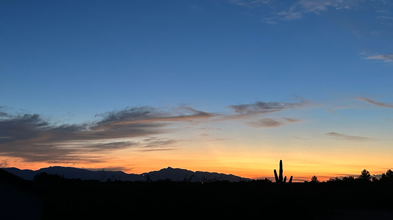 Arizona's Hidden Gem: A Town of Starry Skies, Charming Lake Parks, and Quirky Roadside Attractions