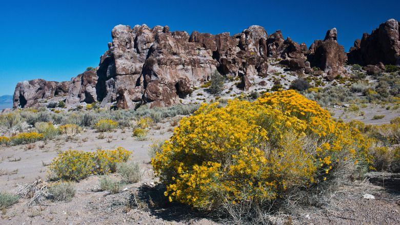 Nevada's Largest State Monument: A Rugged Outdoor Paradise Surrounded by Majestic Mountain Ranges