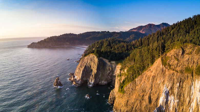 A State Park on Oregon's Tranquil Coast Features a Secluded Beach Surrounded by Lush Rainforest