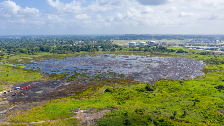 The 'Caribbean Wonder': A Mysterious and Perilous Lake Home to Alleged Alien-Like Creatures