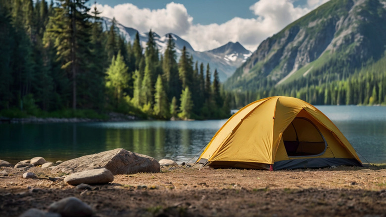 Discovering the Top Camping Spots on a Road Trip Made Simple with This Budget-Friendly Choice
