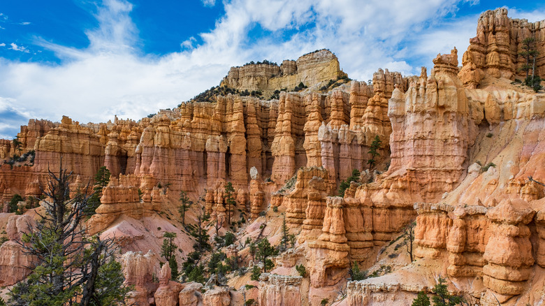 Explore One of Bryce Canyon's Most Stunning Trails: A Free Hike Through Iconic Scenery