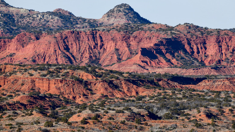 Explore the Scenic Trails of Texas' Hidden Canyon State Park, Home to Roaming Majestic Bison