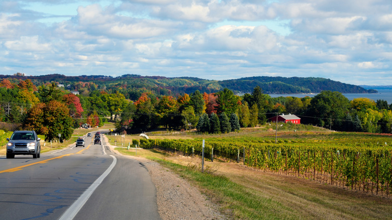 Explore the Charming and Underrated Beverage Trail Along Lake Michigan's Scenic Shores: A Journey Through Vineyards and Stunning Views