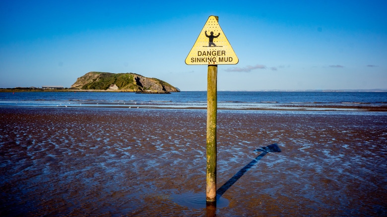 Essential Tips for Encountering Quicksand During Your Next Hike or Beach Day