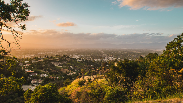 Discover Hollywood's Subtle Charm in This Tranquil Los Angeles Neighborhood Nestled Among Hills