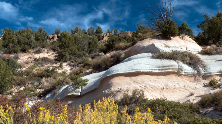 Nevada's Most Tranquil State Park: A Peaceful Escape for Wildlife Watching, Fishing, Hiking, and Camping