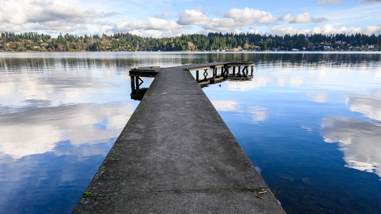 Discover Washington's Pristine Island Park: A Beautiful Beach Filled with Trails and Events