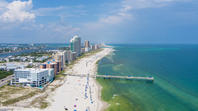 Alabama's Sugar-Sand Getaway: Dolphin Cruises, Seafood Shacks, and Sunset Sails Await