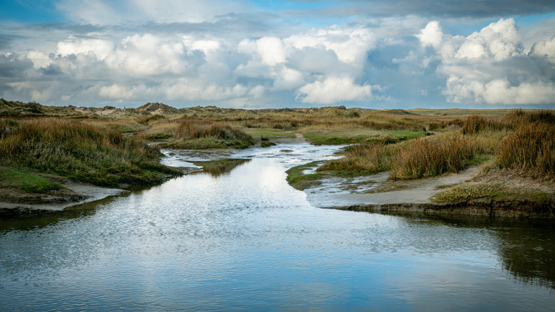 Discover the Romantic Charm of the Dutch Coast's Unique Low-Lying Islands: A Serene Sandy Escape