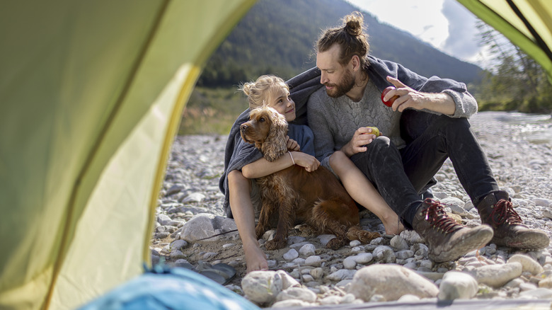 How to Handle Your Family Dog Running Away During a Road Trip or Vacation