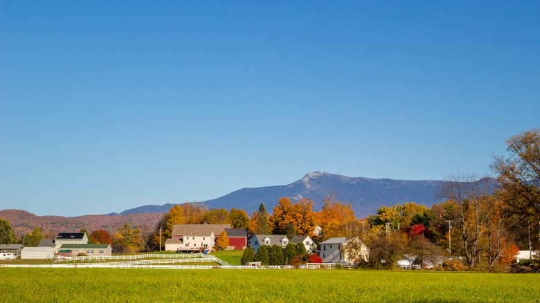 Vermont's Oldest General Store Nestled in a Serene Town with Mountain Views and Arts & Crafts