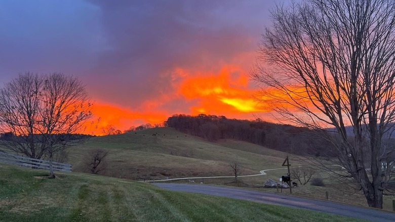 Discover Virginia's Charming Village: A Timeless Retreat with a Historic Trail and Delightful Eateries