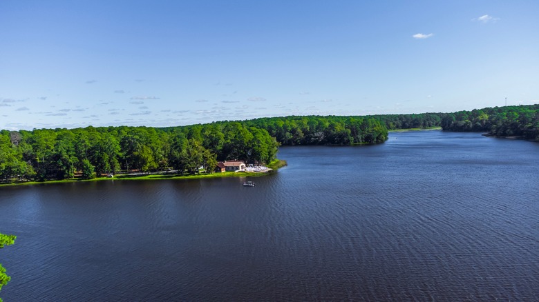 Camp, Hike, and Unwind at the Edge of a National Forest in This Hidden Gem of a Texas State Park