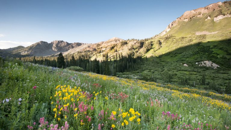 Discover Affordable Living and Thrilling Adventures in This Overlooked Utah College Town