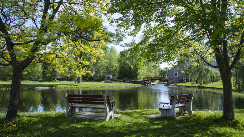 Nestled Between Toronto and Montreal: Canada's Riverside Town Boasting Scenic Parks and Charming Shops