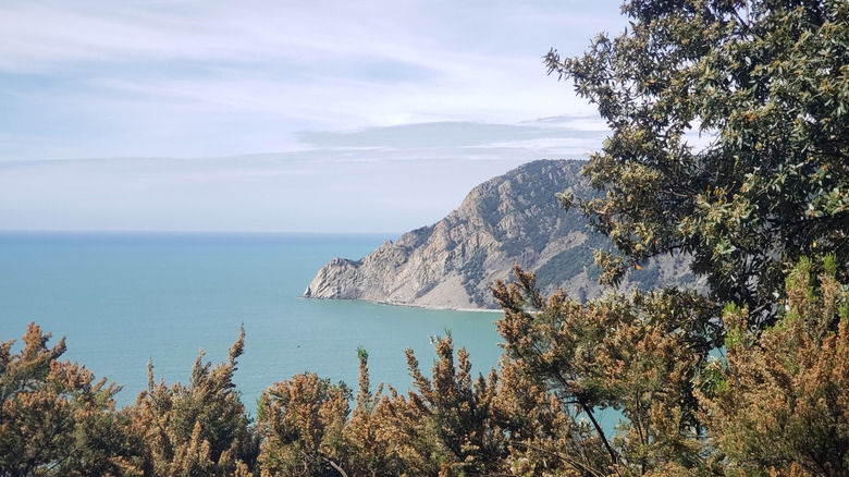 Italy's Premier Walking Trail Embraces Cinque Terre's Famous Coastline and Links Charming Villages