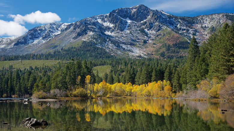Tahoe's Hidden Gem: A Serene Lake Offering Tranquil Camping and Scenic Wilderness Trails