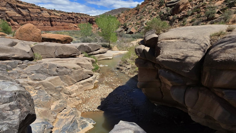 Discover a Serene Desert Oasis with Sandstone Cliffs: The Ideal Colorado Getaway for Summer Swims