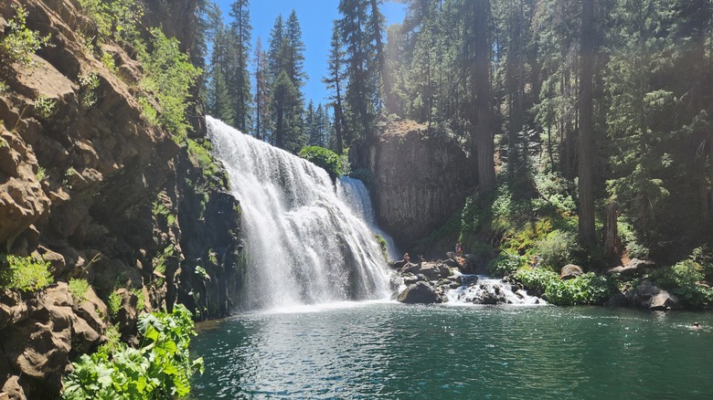 This Northern California Lumberjack Town Transformed Into an Outdoor Paradise Featuring a Charming Waterfall