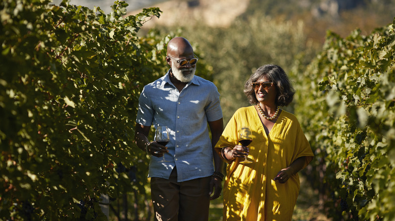 This Small Caribbean Island Vineyard Demonstrates that Exceptional Wines Can Originate from Anywhere