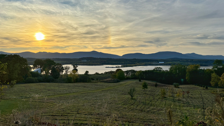 New York's Most Magical Ranch Nestled Among Lush Orchards with Cozy Safari Tents and Friendly Farm Animals