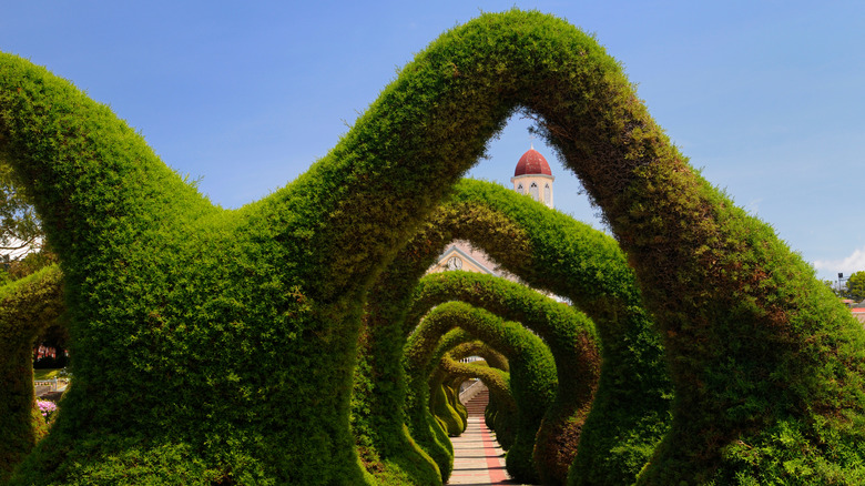 Discover the Charm of This Quirky Mountain Town in Costa Rica, Adorned with Artistic Gardens