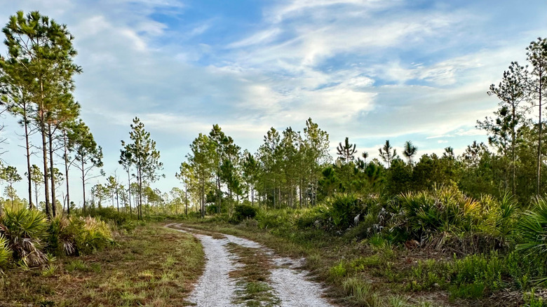 Discover a Premier Escape in Southwest Florida: A Remote State Park with Pristine Waters and Secluded Trails