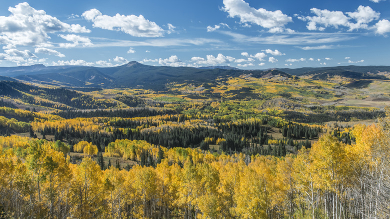 This Overlooked Colorado Scenic Byway Winds Through Wildflower Fields, Lush Valleys, and Alpine Marvels