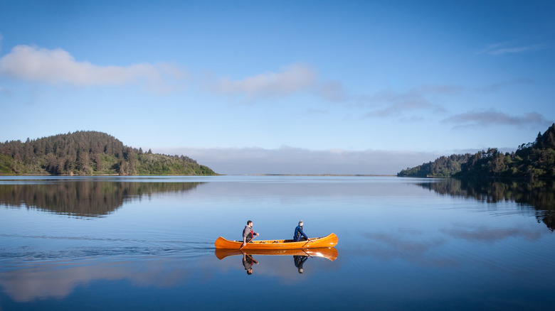 A Hiker's Paradise: Exploring One of North America's Largest Lagoon Systems Between the Beach and California Redwoods