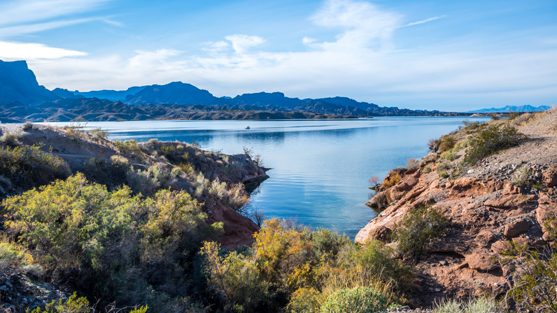A Hidden Gem in Arizona: Lake Havasu's Tranquil Shores with Warm Waters and Minimal Crowds