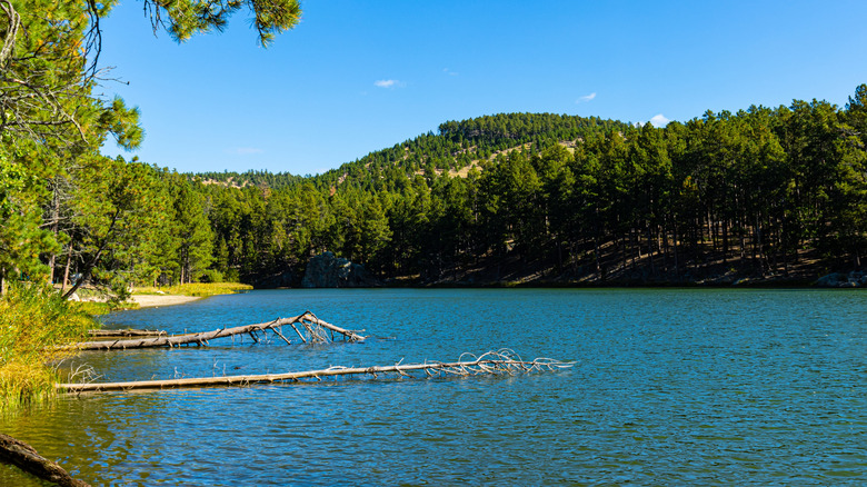 An Affordable and Spacious Campsite in South Dakota with Stunning Lakefront Views