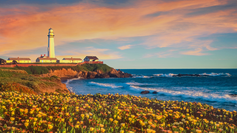 Discover This Hidden Coastal Gem in California: Stunning Beaches and Culinary Delights Await