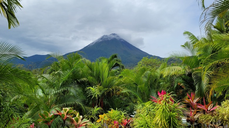 Discover this Tranquil Beach Paradise on Costa Rica's Caribbean Coast