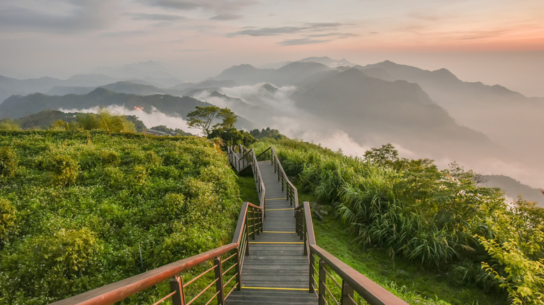 East Asia's Most Joyful Nation in 2025: A Hidden Gem Brimming with Hot Springs and National Parks