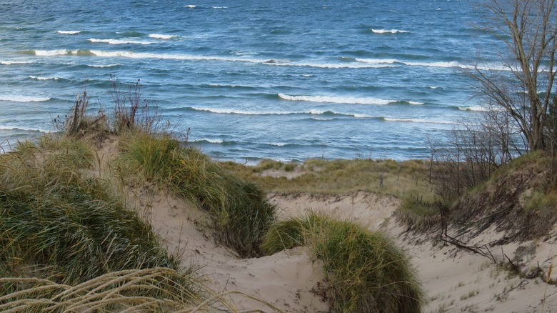 A Hidden Staircase Reveals a Tranquil Lake Michigan Beach with Dunes and Sunset Vistas