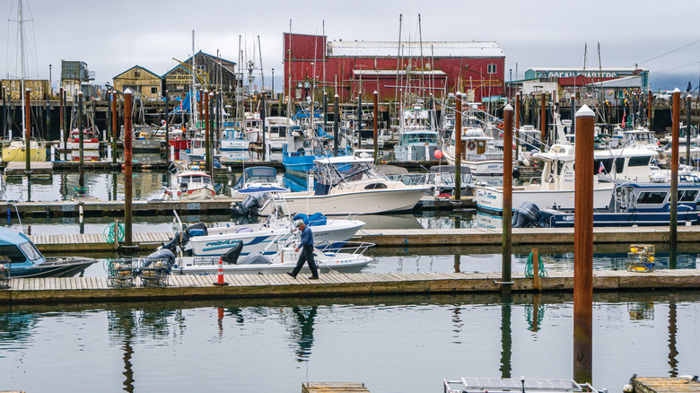 Oregon's Charming Coastal Village: A Picturesque Haven for Seafood Lovers