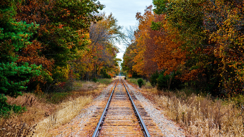 Michigan's Hidden Gem: A Riverfront City with Vibrant Arts, Unique Shops, and Serene Trails