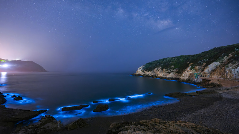 The Shores of Taiwan's Stunning Islands Illuminate with Nocturnal 'Blue Tears' Bioluminescence