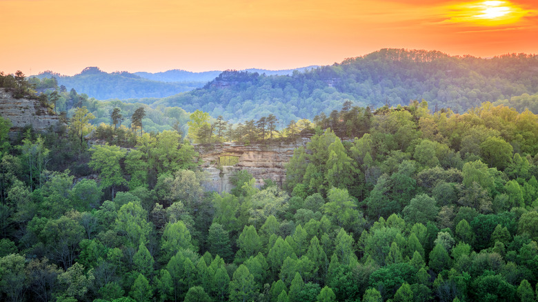 Southern State's Distinctive Trail Towns: Lively Centers with Shops and Eateries Near Iconic Landmarks