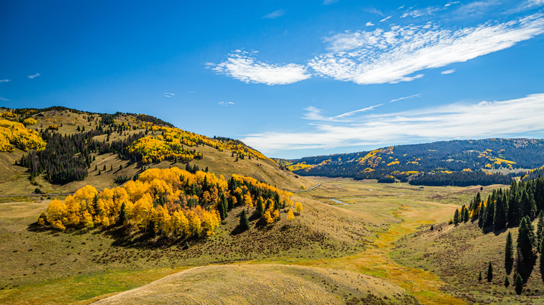 Discover This Secluded Colorado Mountain Town: Your Gateway to Nature and Steam Train Adventures