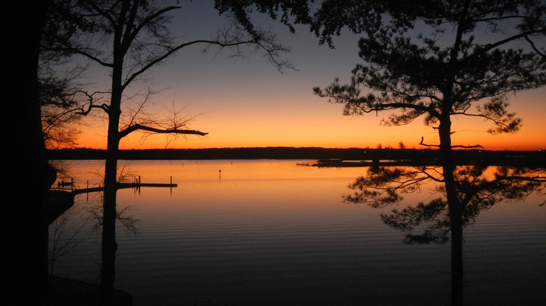 Alabama's Enchanting Lakeside City: The 'Big Bass Capital of the World'