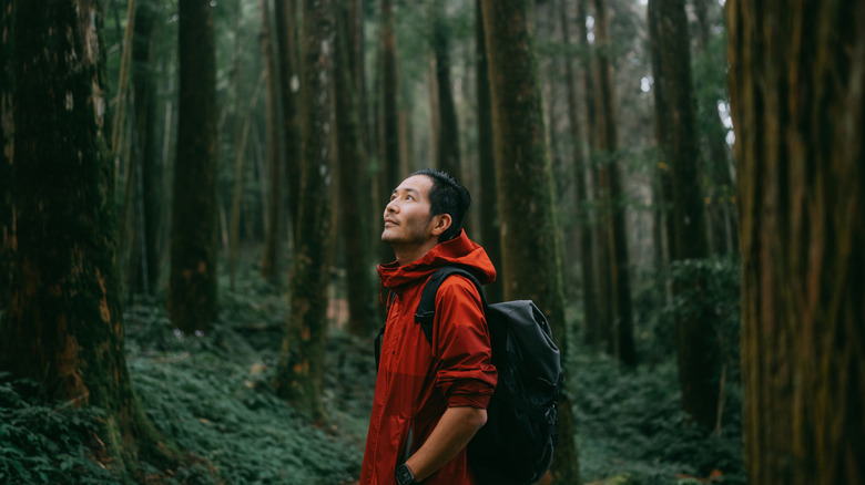 The Essential Backup Plan for Safer Hiking Adventures