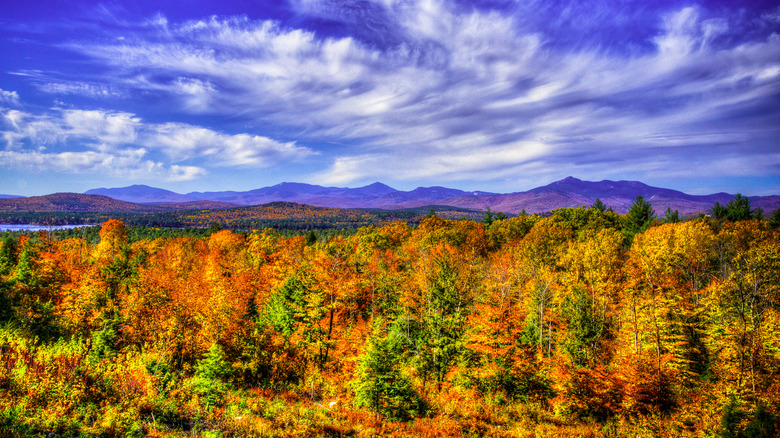 Discover a Hidden Gem in New Hampshire: A Town Filled with Amazing Trails and Charming Small-Town Vibes